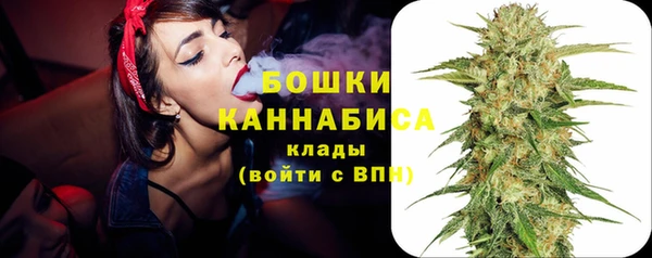 бошки Аркадак