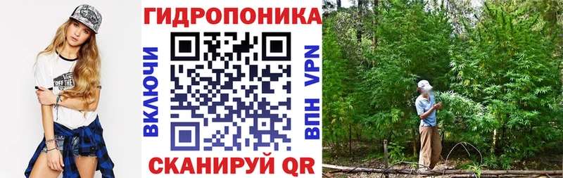 MEGA маркетплейс  Миллерово  darknet формула  Бошки Шишки конопля 